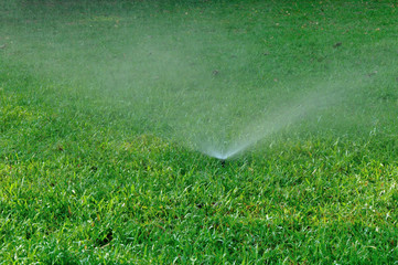 Garden Irrigation system spray watering lawn