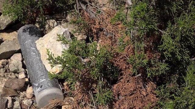 Grabbing hidden geocache in nature.

