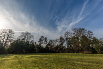Fototapeta premium In park durring winter