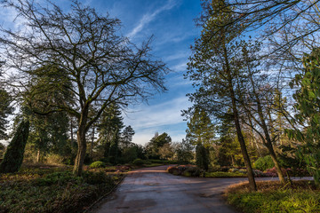 In park durring winter