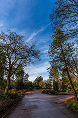 In park durring winter