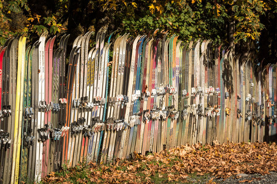 Fence of old skis on the way to Mt. Baker and Picture Lake