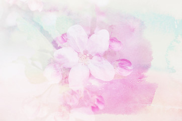Obraz na płótnie Canvas abstract blossom flowers spring