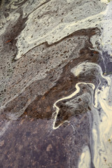 abstraction made by rainwater and pine pollen