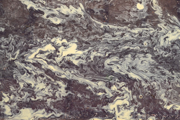 abstraction made by rainwater and pine pollen