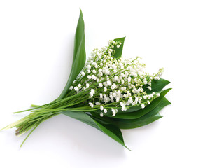 Bouquet of lily of the valleys, isolated on white background, view from above.