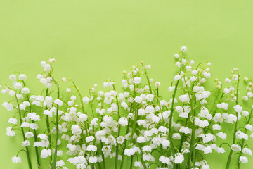 Romantic gentle flower background, lily of the valley on a green background, top view, flat layout. 