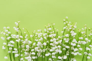 Poster Romantische zachte bloem achtergrond, lelietje-van-dalen op een groene achtergrond, bovenaanzicht, platte lay-out. © Tatiana Morozova