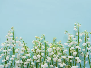 Fototapeten Romantic gentle flower background, lily of the valley on a blue background, top view, flat layout.  © Tatiana Morozova