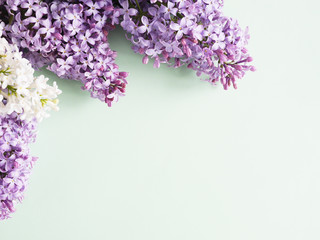Flowering lilac  on mint color background, top view, flat layout, copy space.