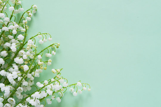 Romantic gentle flower background, lily of the valley on a mint color  background, top view, flat layout. 