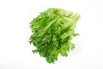 green salad on a white background