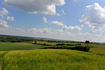 Paysage de la Nièvre

