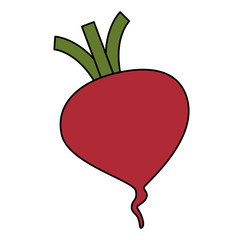 fresh beet vegetarian food vector illustration design