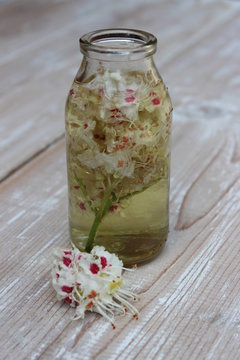 Tincture Of Chestnut Flowers