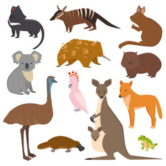 Australian wild vector animals cartoon collection australia popular animals like platypus, koala, kangaroo, ostrich set isolated on white background