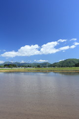 Fototapeta premium 春 田舎の田園風景 青空 白い雲 水田