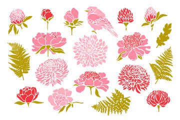 Set with birds and flowers. Peony, chrysanthemum, clover, tulip, fern. Vector illustration.