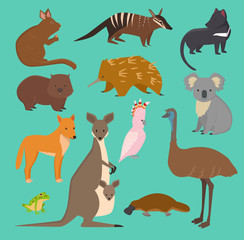 Australian wild vector animals cartoon collection australia popular animals like platypus, koala, kangaroo, ostrich set isolated on background