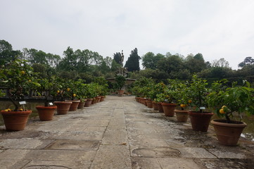 Orangeraie, Jardin de Boboli, Florence