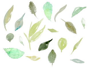 set of watercolor leaf illustration on white background