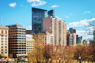 Fototapeta na wymiar Skyline and Boston Common public park in downtown Boston