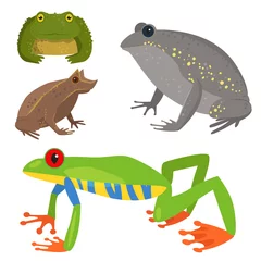 Fotobehang Frog vector cartoon tropical wildlife animal green froggy nature funny illustration toxic toad amphibian. © creativeteam