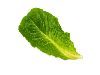 Fresh Cos lettuce leaf isolated on white background