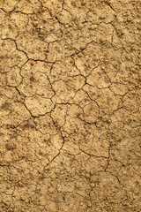 Brown cracked soil texture