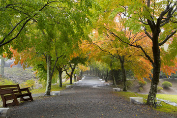 The Maples Corridor at Mount Fuji Museum