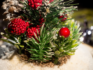 Christmas Winter composition with cinnamon sticks, fir tree, red berry