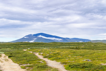 Fototapeta premium Hiking trail in Helags mountain scenery in the summer in Sweden