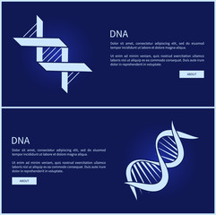 DNA Collection of Web Pages Vector Illustration