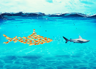 Big shark made of goldfishes attack a real shark. Concept of unity is strength, teamwork and...