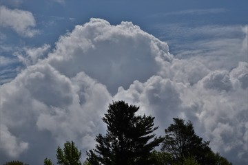 Cumulus clouds