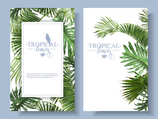 Tropical leaves frames © purplebird