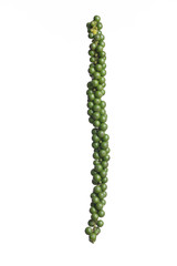 Fresh black pepper on white background