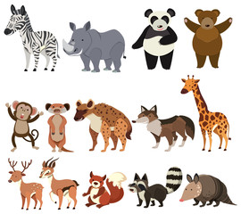 A Set of Animals on White Background