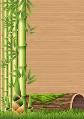 Fototapeta premium Bamboo and Bamboo Shoot Template