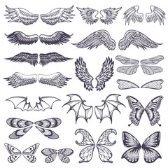 Wings vector flying winged angel with wing-case of bird and butterfly with wingspan illustration black wing-beat tattoo silhouette set isolated on white background