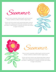 Summer Set of Two Posters Vector Illustration