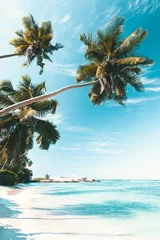 Türaufkleber Hellblau Tropischer Strand auf den Seychellen