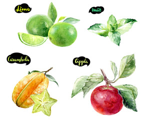 carambola lime apple mint watercolor