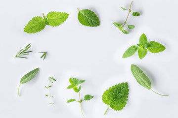 Collection of fresh herbal sage, rosemary, oregano, thyme, lemon balm spearmint and peppermint setup with flat lay on white background