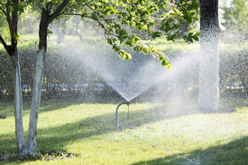 Device for watering gardens and parks. Irrigation watering plants and trees by spraying water from a hose.