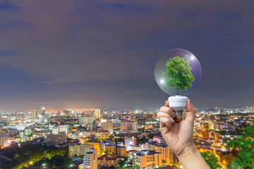 Ecology concept human hands holding big plant tree in light bulb with world environment