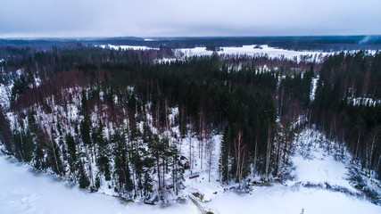 winter landscape trees snow clearing photos from a height