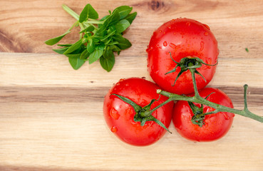 basil and tomatoes on wooden board