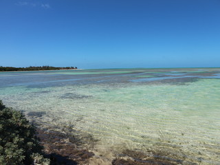 Lagune mit Mangriven auf Kuba, Cayo Coco, Jardines Del Rey