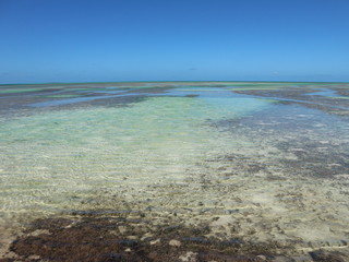 Lagune mit Mangriven auf Kuba, Cayo Coco, Jardines Del Rey